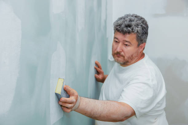 Professional Drywall & Painting Services in Rockville, MN